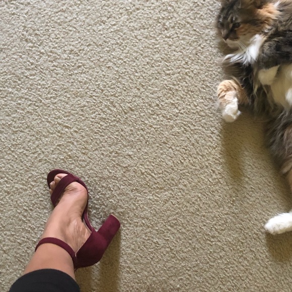 Used . - Picture 5 of 5